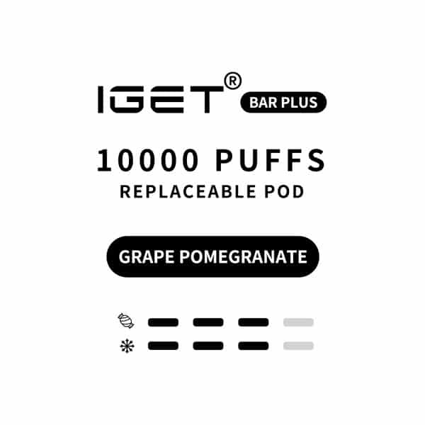 IGET BAR PLUS Prefilled Pod 10000puffs